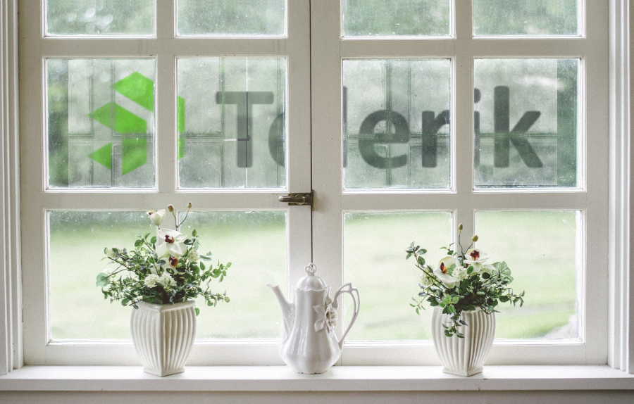 Telerik Window